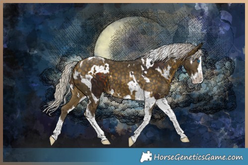Horse Color:Silver Bay Splash Tobiano and White Spotted Silver Buckskin Splash Tobiano