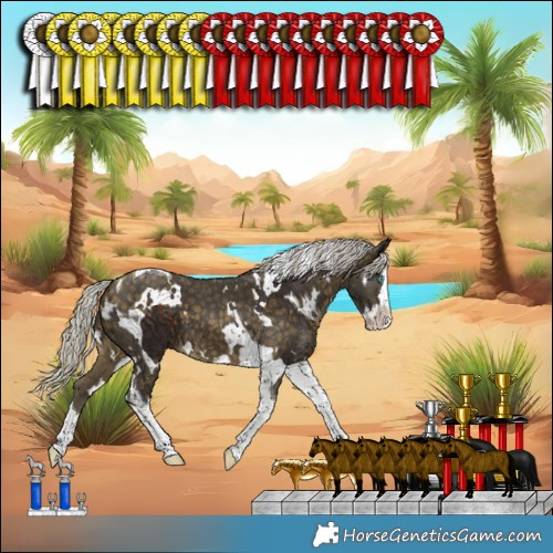 Horse Color:Silver Bay Splash Tobiano  and White Spotted Silver Buckskin Splash Tobiano 