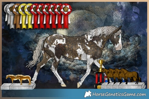 Horse Color:Silver Bay Splash Tobiano  and White Spotted Silver Buckskin Splash Tobiano 