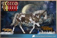 Horse Color:Silver Bay Splash Tobiano  and White Spotted Silver Buckskin Splash Tobiano 