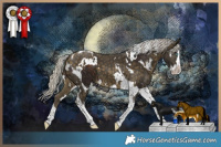 Horse Color:Silver Bay Splash Tobiano and White Spotted Silver Buckskin Splash Tobiano