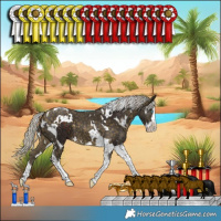 Horse Color:Silver Bay Splash Tobiano and White Spotted Silver Buckskin Splash Tobiano