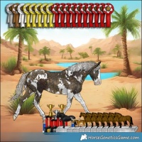 Horse Color:Silver Bay Splash Tobiano and White Spotted Silver Buckskin Splash Tobiano