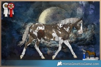 Horse Color:Silver Bay Splash Tobiano  and White Spotted Silver Buckskin Splash Tobiano 