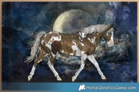 Horse Color:Silver Bay Splash Tobiano and White Spotted Silver Buckskin Splash Tobiano