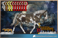 Horse Color:Silver Bay Splash Tobiano and White Spotted Silver Buckskin Splash Tobiano