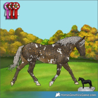 Horse Color:White Spotted Silver Buckskin