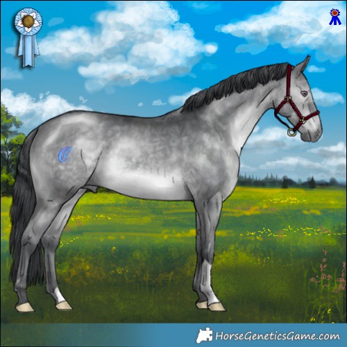 Horse Color:Brown Chinchilla 