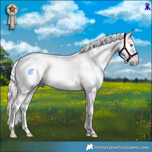 Horse Color:Liver Chestnut Chinchilla Mushroom Rabicano 