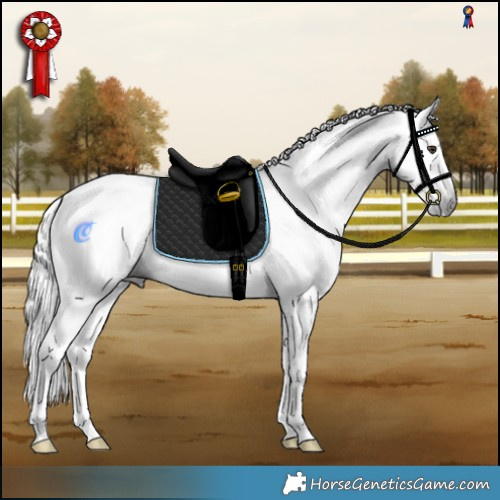 Horse Color:Gray Liver Chestnut Tobiano Rabicano 