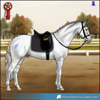 Horse Color:Gray Liver Chestnut Tobiano Rabicano 