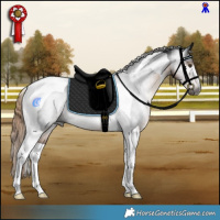 Horse Color:Gray Liver Chestnut Tobiano Rabicano 