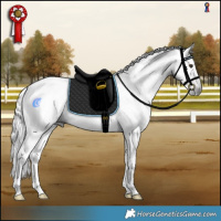 Horse Color:Gray Liver Chestnut Tobiano Rabicano 