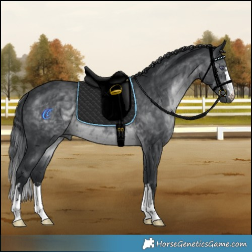 Horse Color:Brown Chinchilla Mushroom