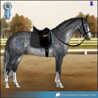 Horse Color:Brown Chinchilla Mushroom