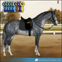 Horse Color:Brown Chinchilla Mushroom 