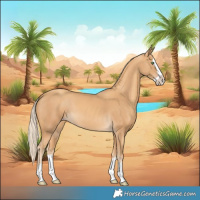Horse Color:Gold Cream Champagne Splash