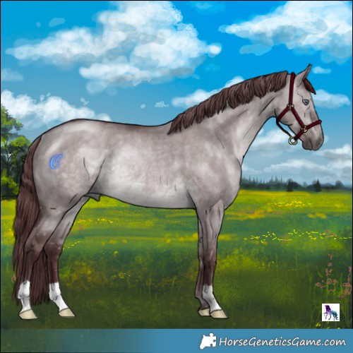 Horse Color:Chocolate Brown Chinchilla Dun Rabicano 