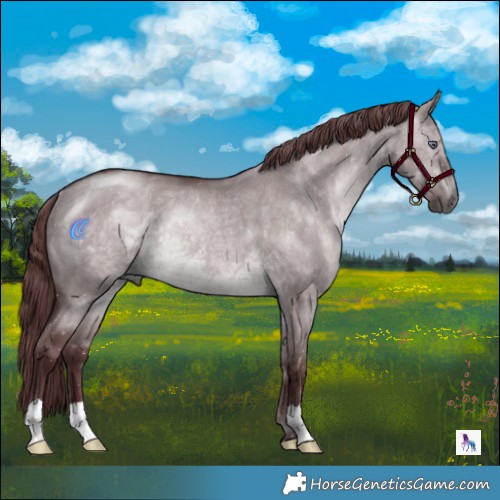 Horse Color:Chocolate Brown Chinchilla Dun Rabicano 