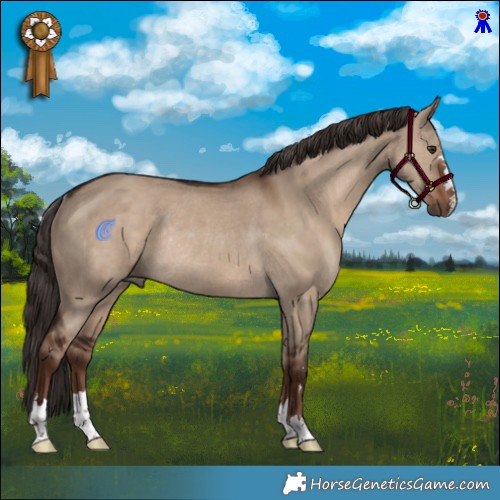 Horse Color:Liver Red Dun Rabicano 