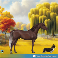 Horse Color:Chocolate Brown Rabicano