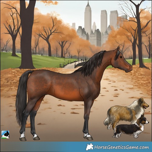 Horse Color:Brown 
