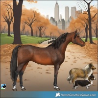 Horse Color:Brown 