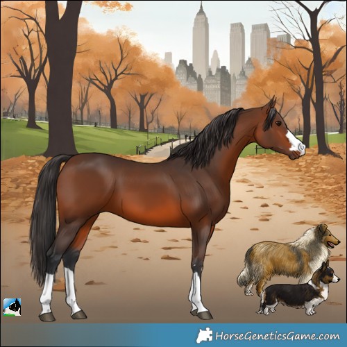 Horse Color:Brown 