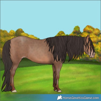 Horse Color:Sable Champagne