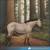 Horse Color:Liver Red Dun 