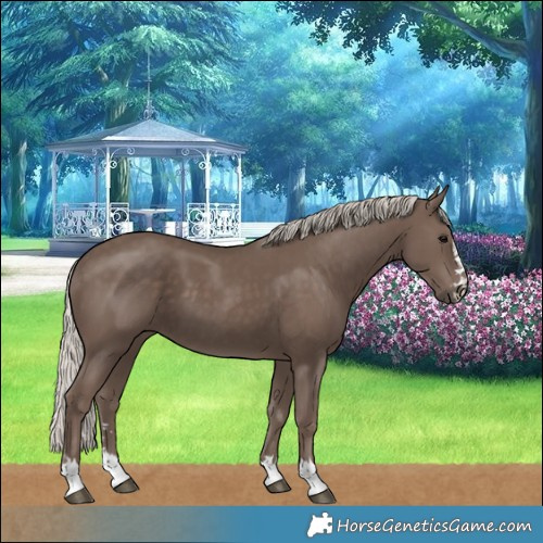 Horse Color:Silver Black 