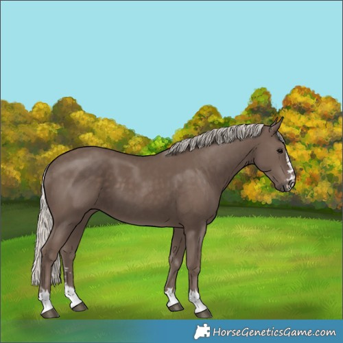 Horse Color:Silver Black 