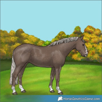 Horse Color:Silver Black 