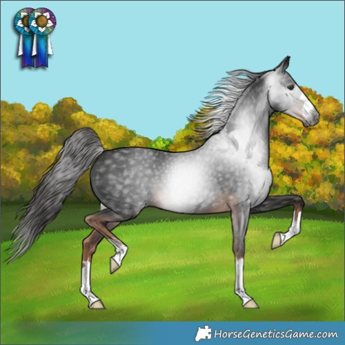 Horse Color:Gray Liver Chestnut 