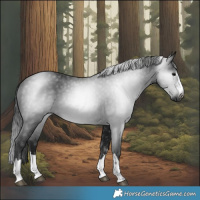 Horse Color:Gray Black 