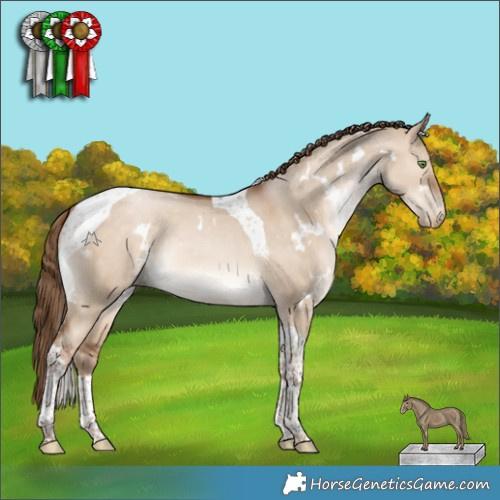 Horse Color:White Spotted Bay Pearl Dun Tobiano Rabicano