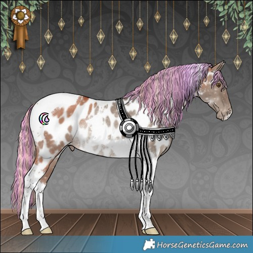 Horse Color:Painted Silver Grullo Tobiano Appaloosa Rabicano 