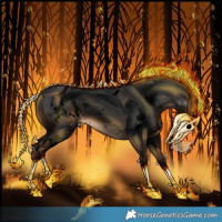 Horse Color:Gray Void White Spotted Liver Chestnut Appaloosa