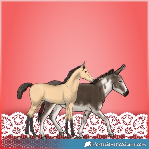 Horse Color:Buckskin 