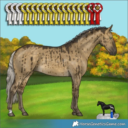 Horse Color:Silver Buckskin Dun Rabicano Brindle 