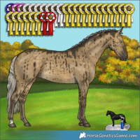 Horse Color:Silver Buckskin Dun Rabicano Brindle