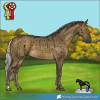 Horse Color:Silver Buckskin Dun Rabicano Brindle