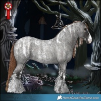 Horse Color:Powder White Liver Red Roan 