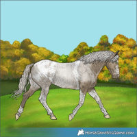 Horse Color:Silver Smoky Grullo Tobiano Blanket Brindle 