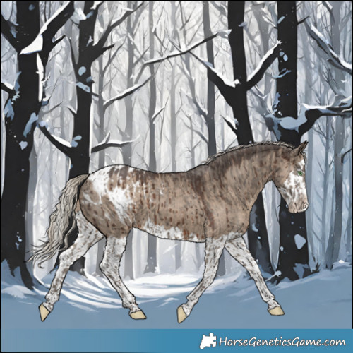 Horse Color:Silver Smoky Grullo Appaloosa Brindle and Silver Grullo Splash Appaloosa Brindle