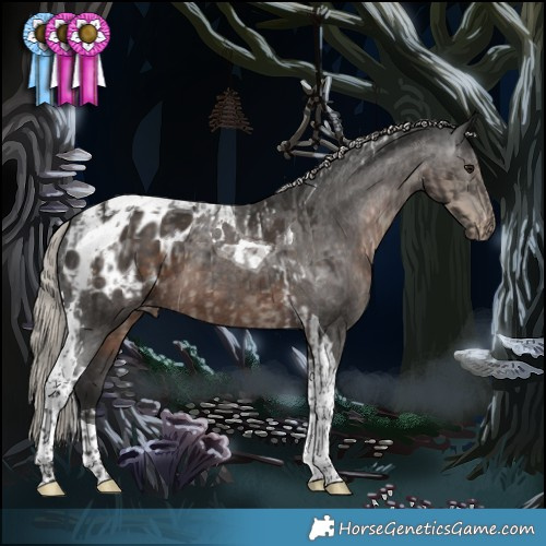 Horse Color:Silver Smoky Black Tobiano Appaloosa  and Gray Silver Black Tobiano Appaloosa 