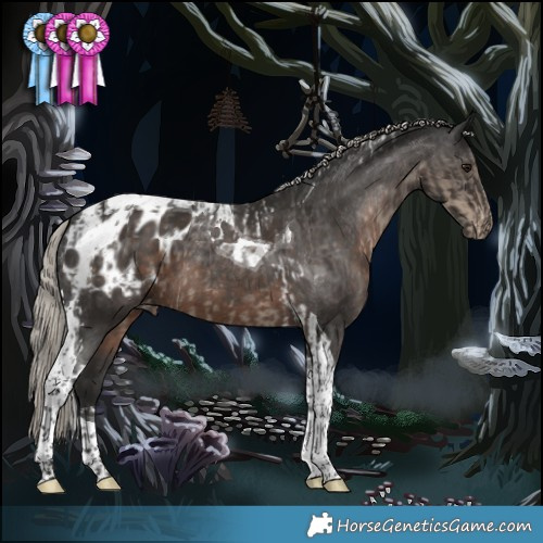Horse Color:Silver Smoky Black Tobiano Appaloosa  and Gray Silver Black Tobiano Appaloosa 