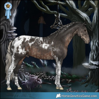 Horse Color:Silver Smoky Black Tobiano Appaloosa  and Gray Silver Black Tobiano Appaloosa 