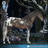 Horse Color:Silver Smoky Black Tobiano Appaloosa  and Gray Silver Black Tobiano Appaloosa 