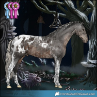 Horse Color:Silver Smoky Black Tobiano Appaloosa and Gray Silver Black Tobiano Appaloosa